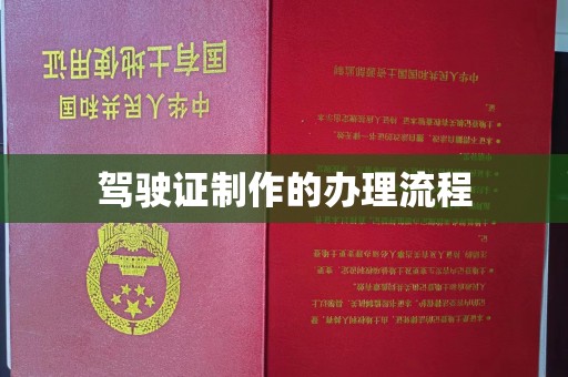 扎囊驾驶证制作的办理流程