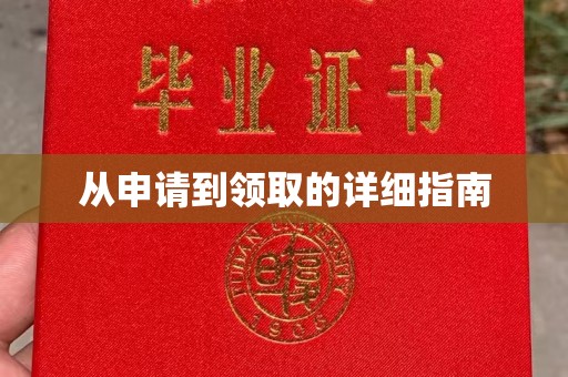 扎囊从申请到领取的详细指南