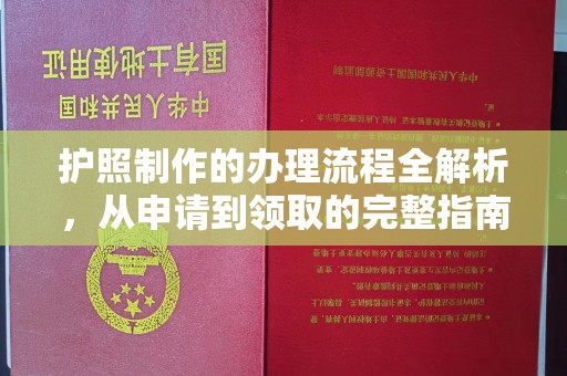扎囊护照制作的办理流程全解析，从申请到领取的完整指南