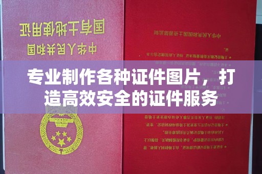 扎囊专业制作各种证件图片，打造高效安全的证件服务