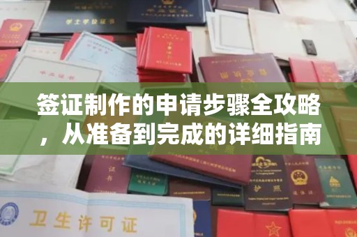 扎囊签证制作的申请步骤全攻略，从准备到完成的详细指南