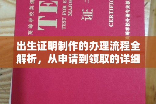 扎囊出生证明制作的办理流程全解析，从申请到领取的详细指南