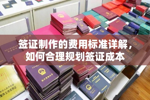 扎囊签证制作的费用标准详解，如何合理规划签证成本