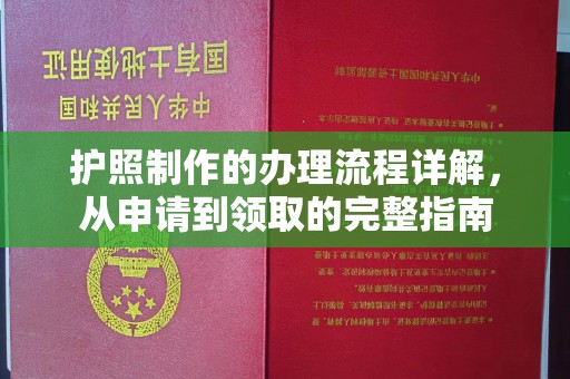 扎囊护照制作的办理流程详解，从申请到领取的完整指南